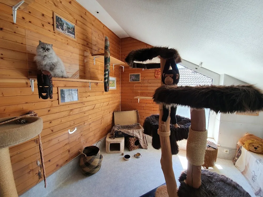 Katzenhotel Seelhorst - Bissendorf pet otel görseli 11