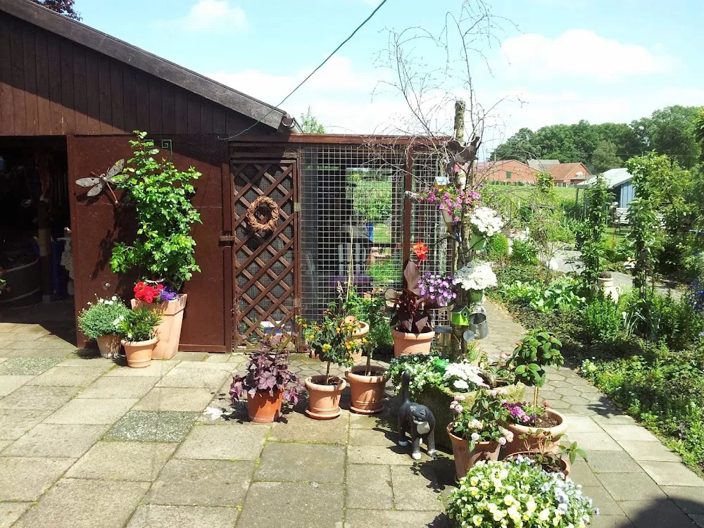 Katzenparadies Lange - Bissendorf pet otel
