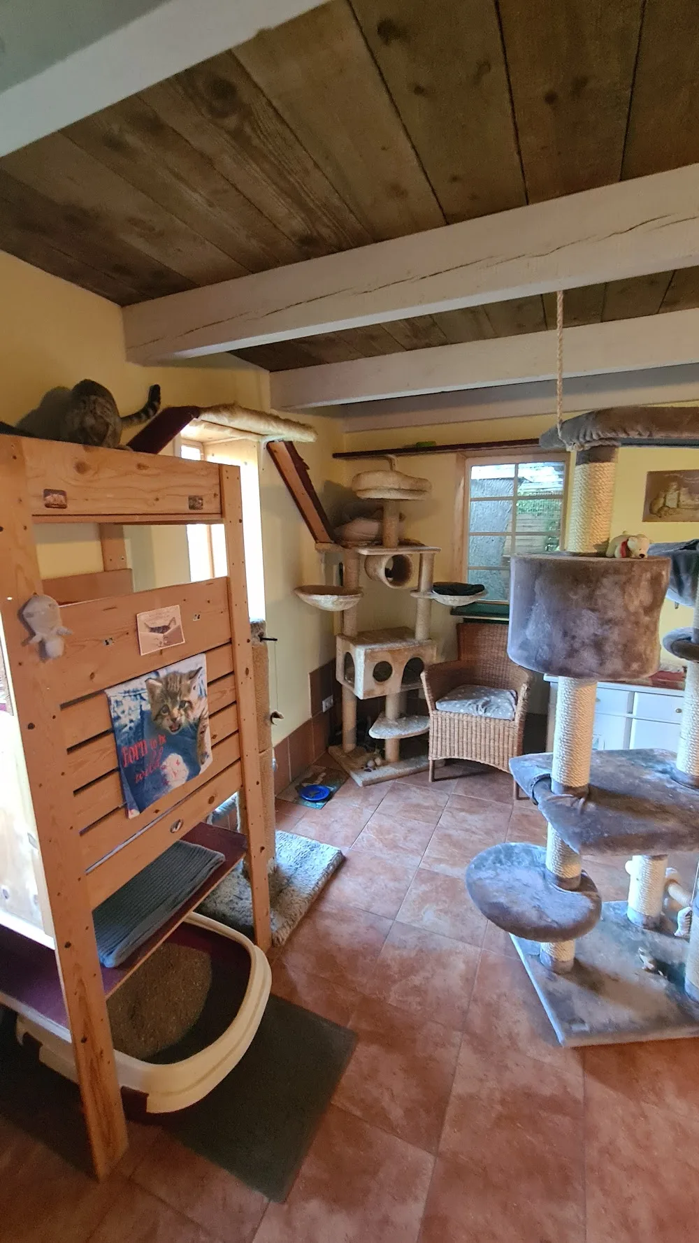 Katzenpension Christel Stahn - Bissendorf pet otel görseli 11