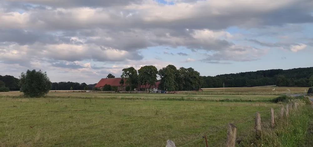 Katzenpension Rasch - Bissendorf pet otel görseli 6