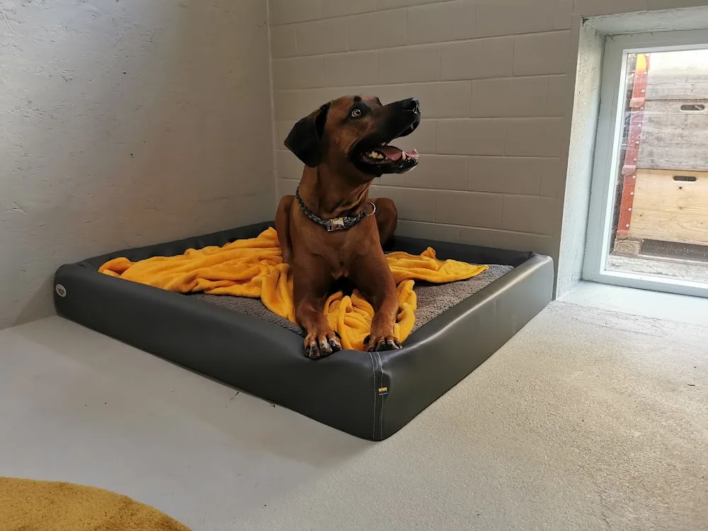 Natis Fellhotel - Bissendorf pet otel