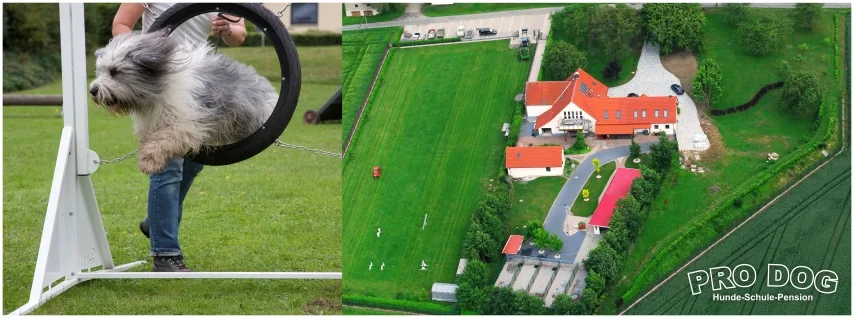 S. Welkener PRO DOG Hundepension und Hundeschule - Bissendorf pet otel görseli 2