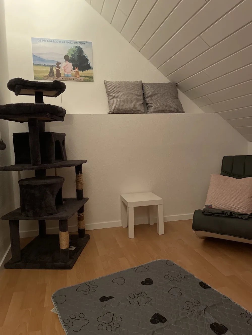 Schnurrlaub Katzenpension Bianca Finke - Bissendorf pet otel görseli 5