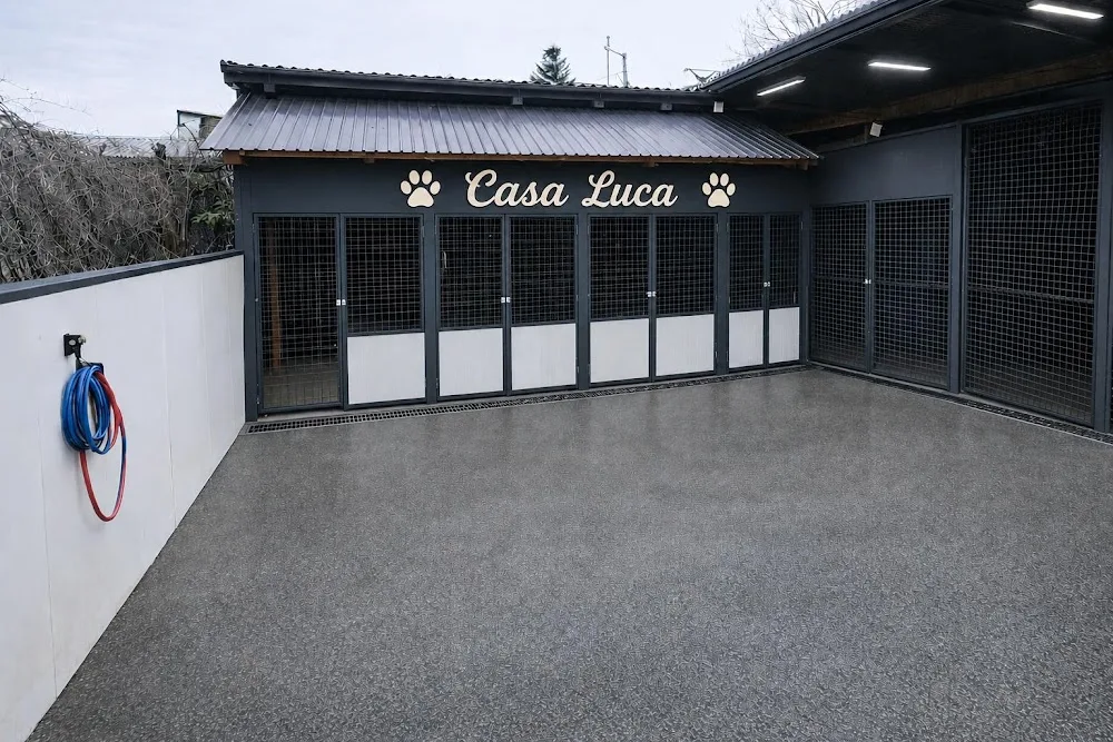 Casa Luca-Pensiune canină-Dresaj canin - Bistrița-Năsăud pet otel
