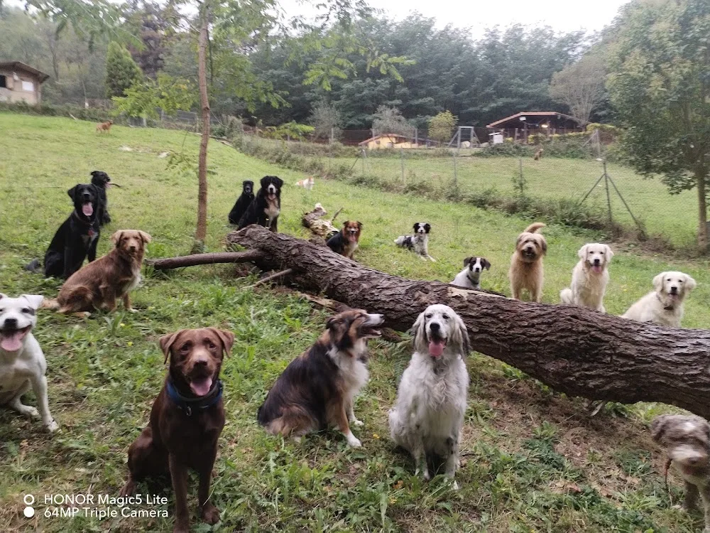 Servicio Canino Bizkaia - Bizkaia pet otel