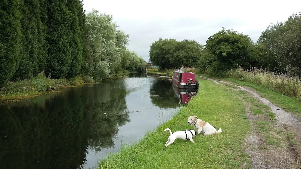 Aspen Valley Boarding Kennels & Cattery - Blackburn with Darwen pet otel
