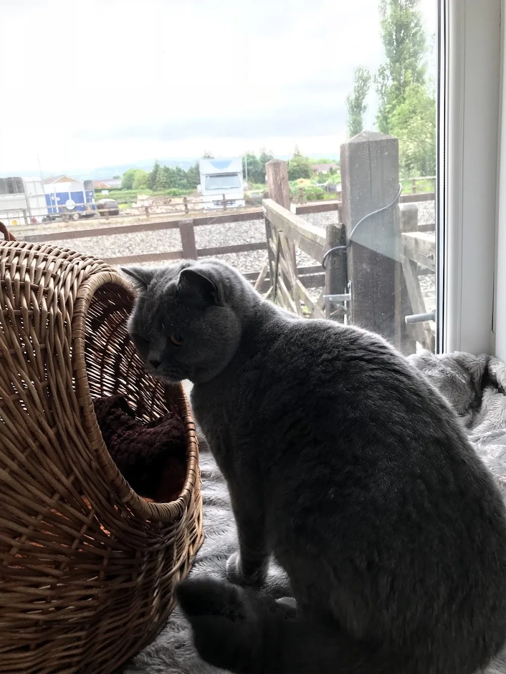 Brandlesholme Hall Farm Cattery - Blackburn with Darwen pet otel