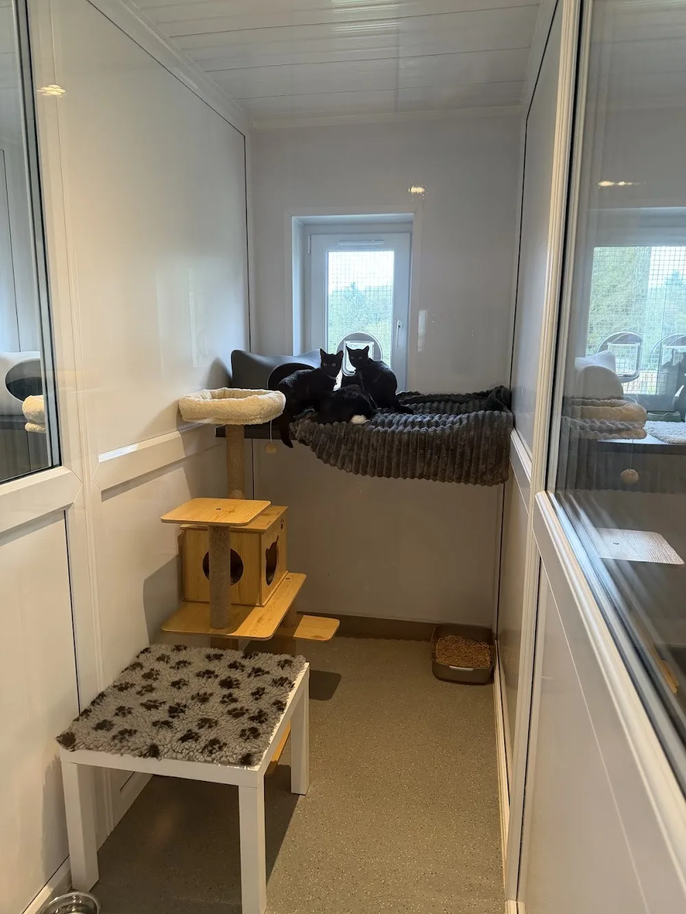 Clearview Cattery - Blackburn with Darwen pet otel görseli 3
