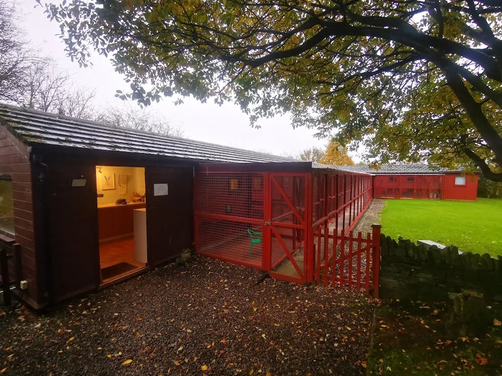 Copthorne Cattery - Blackburn with Darwen pet otel görseli 3