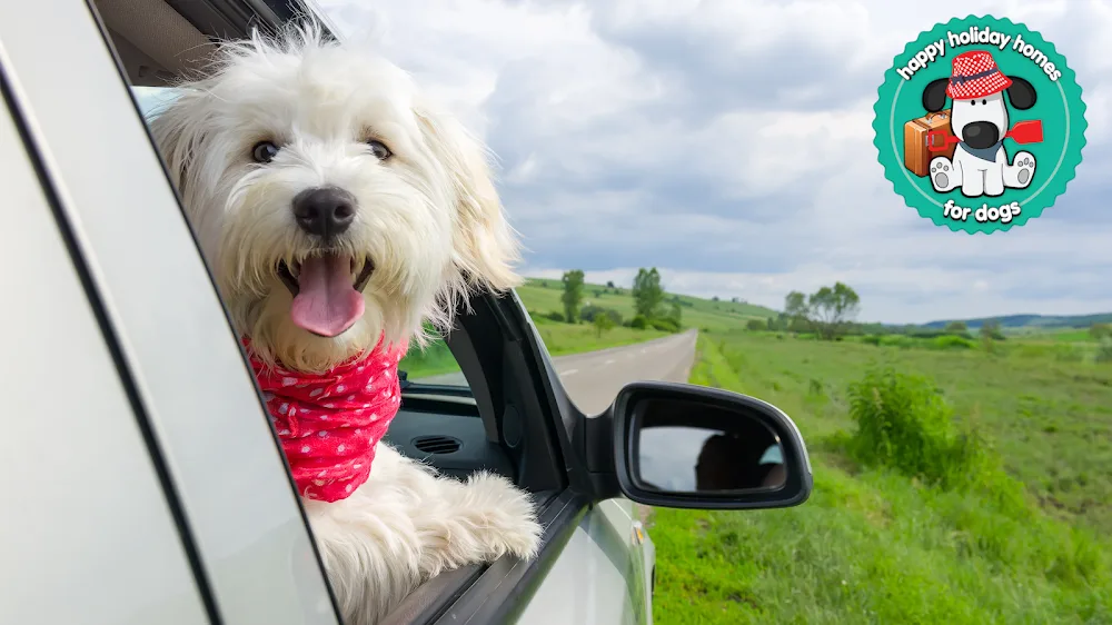 Digs for Dogs - Blackburn with Darwen pet otel