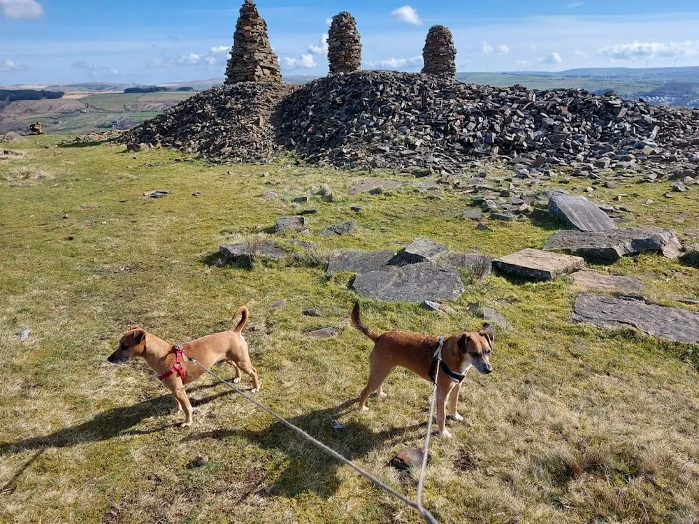 PetStay East Lancs & Bury (Home Dog Boarding) - Blackburn with Darwen pet otel