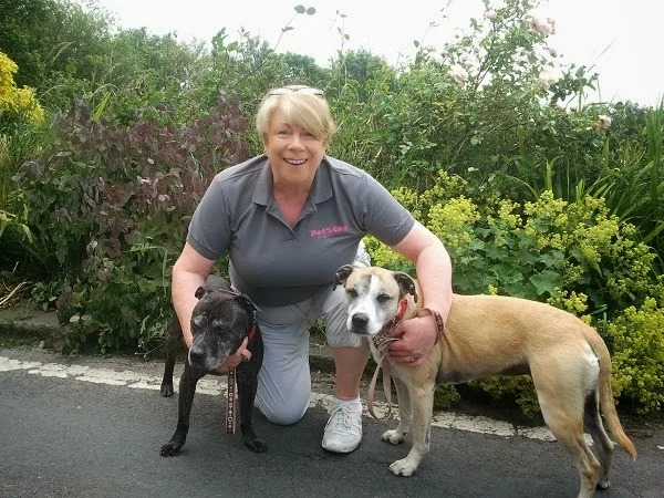 PetStay East Lancs & Bury (Home Dog Boarding) - Blackburn with Darwen pet otel görseli 3