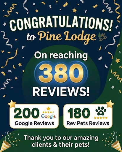 Pine Lodge Luxury Dog Boarding - Blackburn with Darwen pet otel