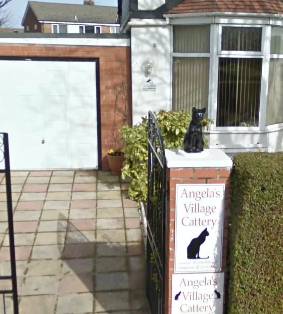 Angelas Village Cattery - Blackpool pet otel görseli 3