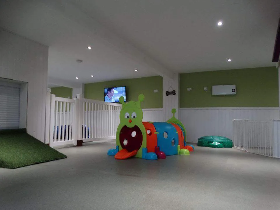 Balmoral Kennels and Cattery - Blackpool pet otel