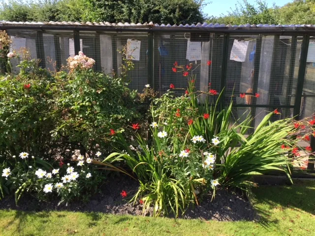 Bourne Cattery - Blackpool pet otel