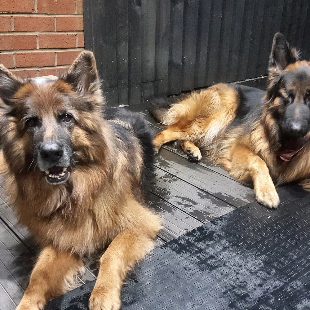 Elswick Kennels - Blackpool pet otel