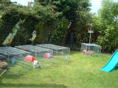 Hoppy Holidayz - Blackpool pet otel görseli 3