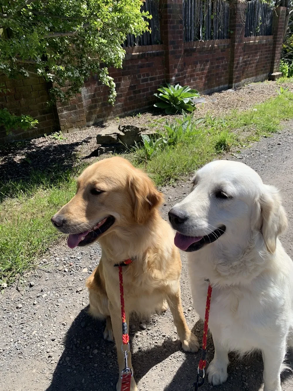 Moss Hey Kennels - Blackpool pet otel