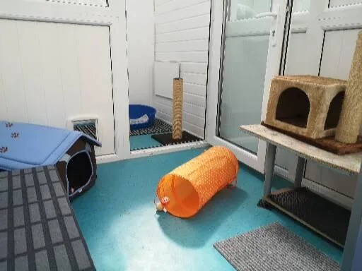The Willows Cattery - Blackpool pet otel