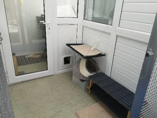 The Willows Cattery - Blackpool pet otel görseli 3