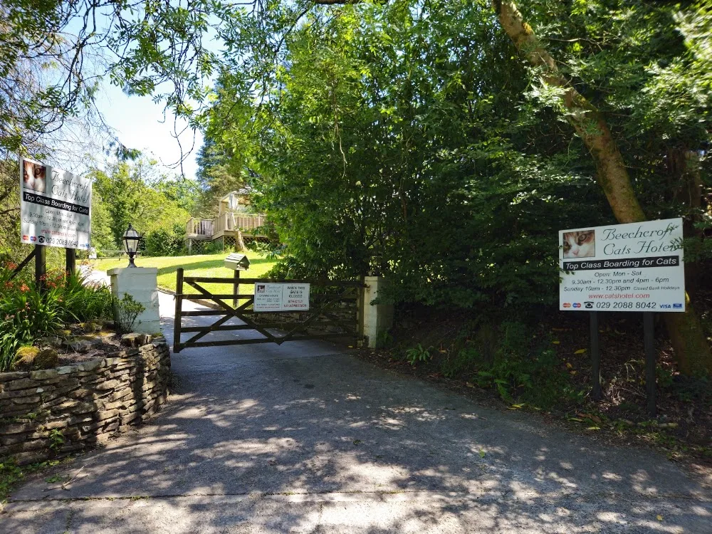 Beechcroft Cats Hotel - Blaenau Gwent pet otel