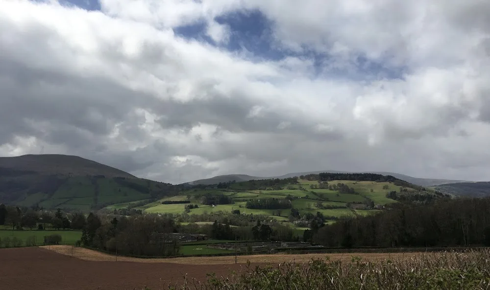 Buckland Hill Boarding Kennels and Cattery - Blaenau Gwent pet otel
