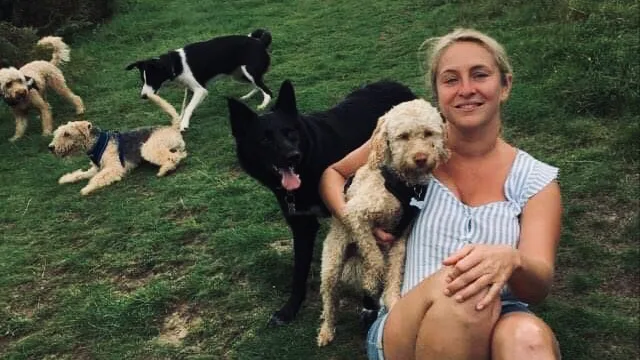 Canine Cwtches home boarding for dogs - Blaenau Gwent pet otel