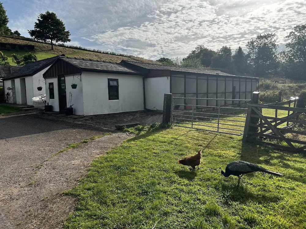 Castle Mill Cattery - Blaenau Gwent pet otel