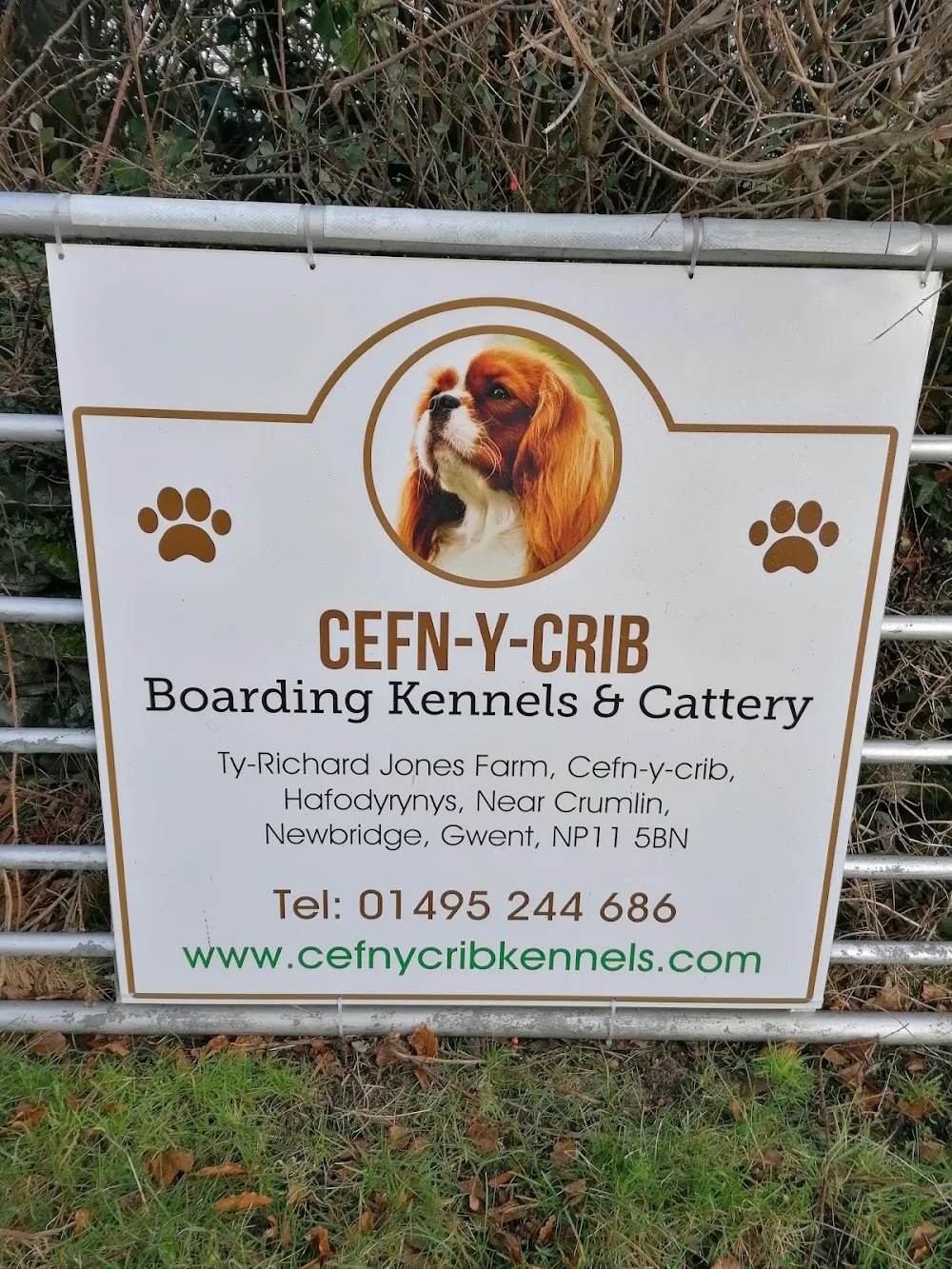 Cefn Y Crib Boarding Kennels - Blaenau Gwent pet otel