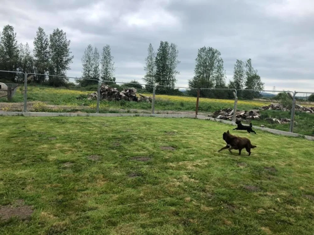 Home & Away Boarding Kennels & Cattery - Blaenau Gwent pet otel görseli 3