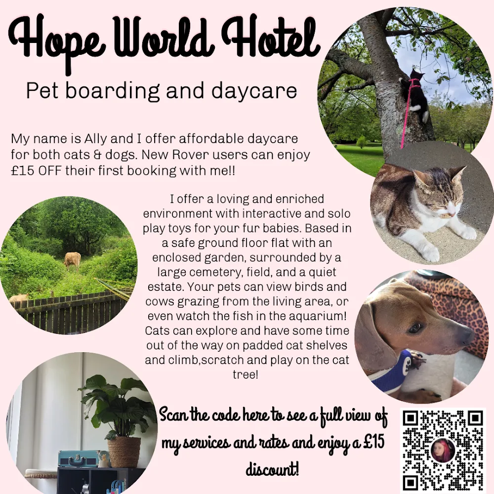 Hope World Hotel - Blaenau Gwent pet otel görseli 3