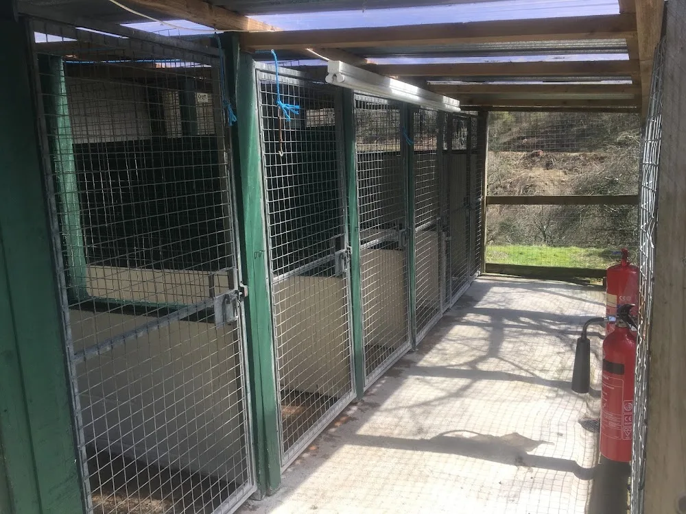Pantymilah Kennels& Cattery trading as Pantymilah ltd - Blaenau Gwent pet otel görseli 2