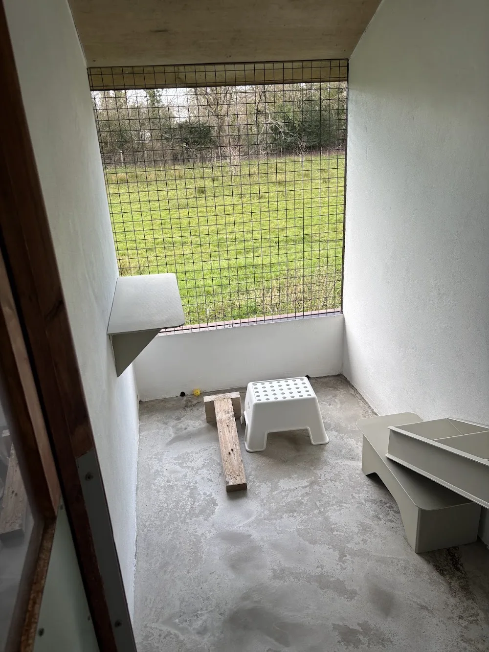 The Knoll Cattery - Blaenau Gwent pet otel