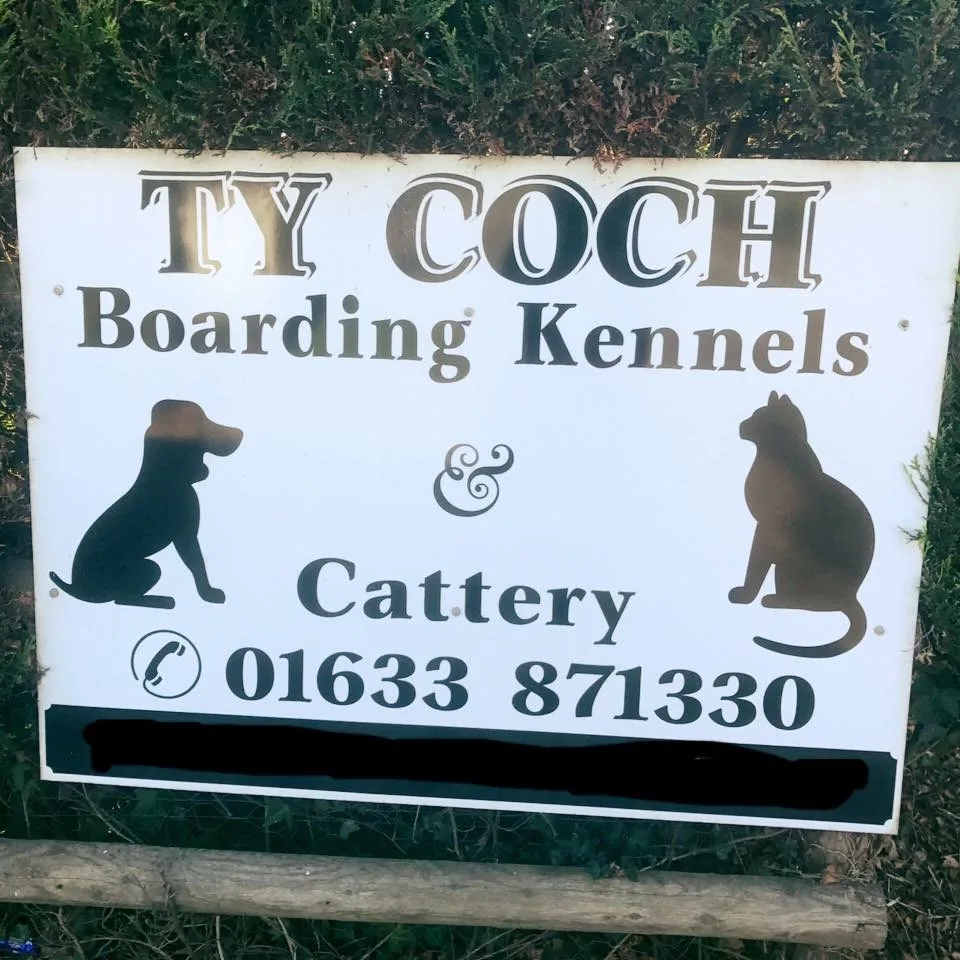 Tŷ Coch Stud Boarding Kennels & Cattery - Blaenau Gwent pet otel görseli 3