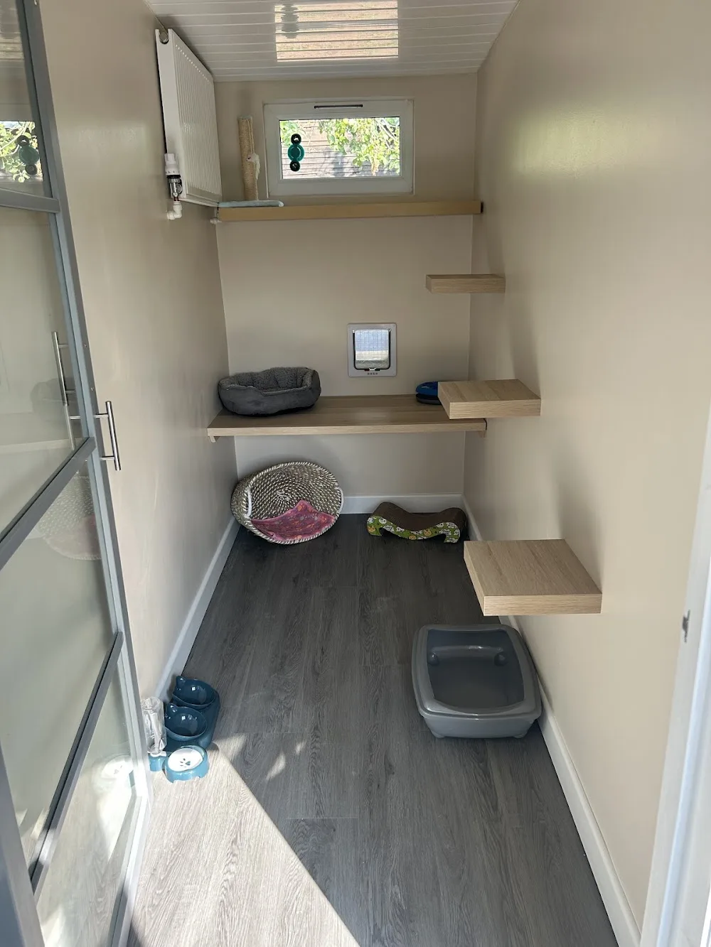Whiskerton Hall Cat Hotel (formerly Crowvalley) Boarding Cattery - Blaenau Gwent pet otel görseli 3
