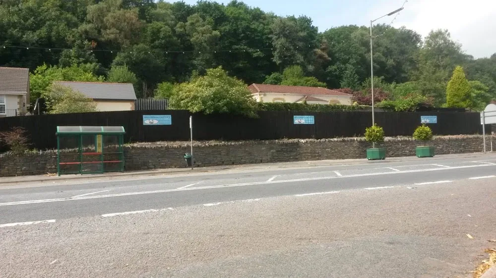 Willowdell Cattery - Blaenau Gwent pet otel görseli 3