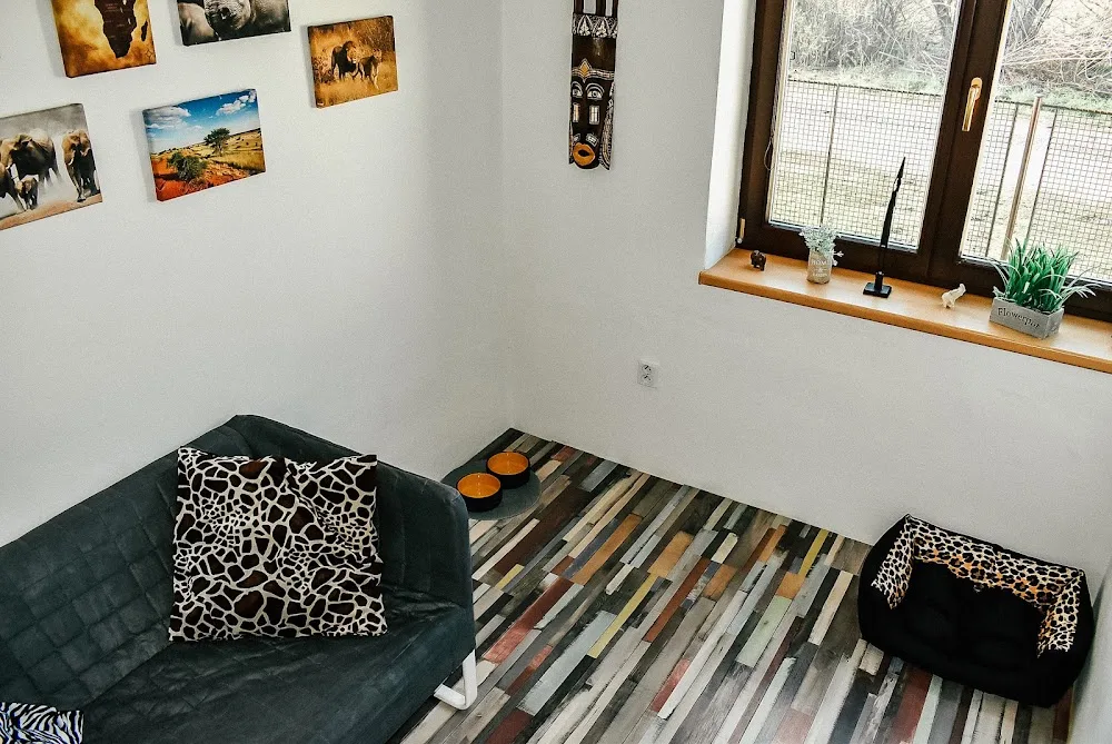 Dog hotel Deniska - Blansko pet otel görseli 3