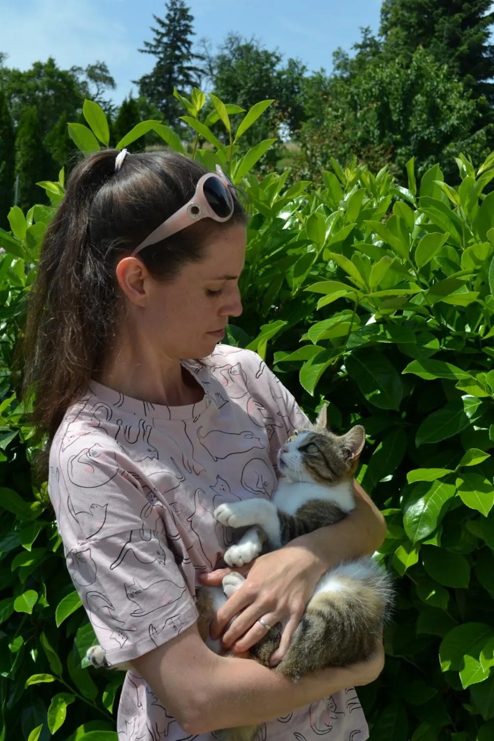 Hlídání koček a dalšího zvířectva - Blansko pet otel görseli 3