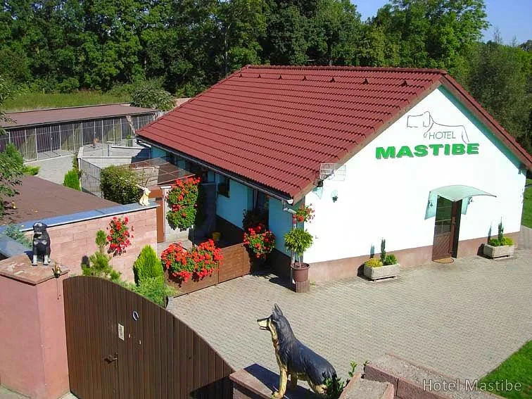 Hotel for dogs and cats Mastibe - Blansko pet otel