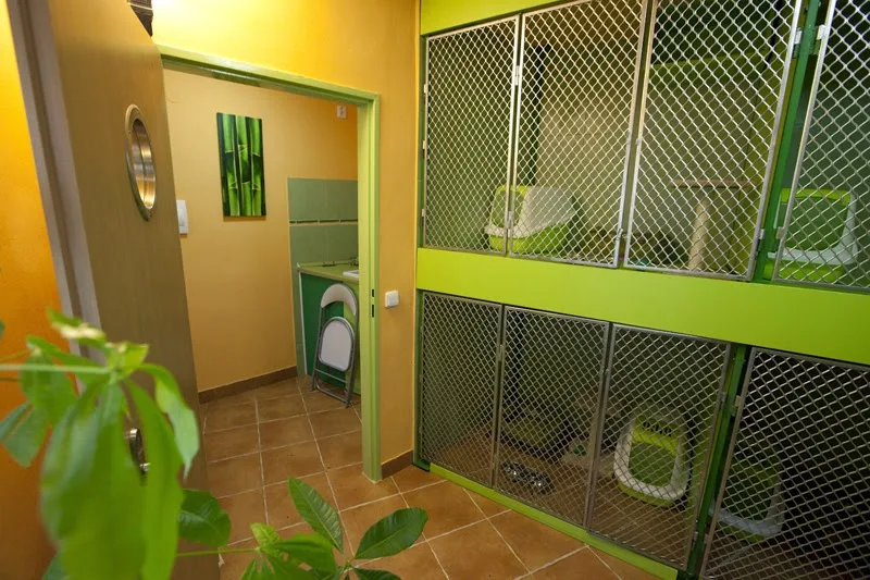Hotel pro kočky MIACIS - Blansko pet otel
