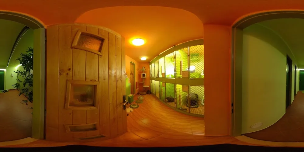 Hotel pro kočky MIACIS - Blansko pet otel görseli 3