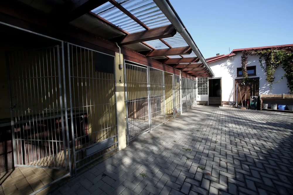 Hotel pro psy - Hotelmaxx - Blansko pet otel