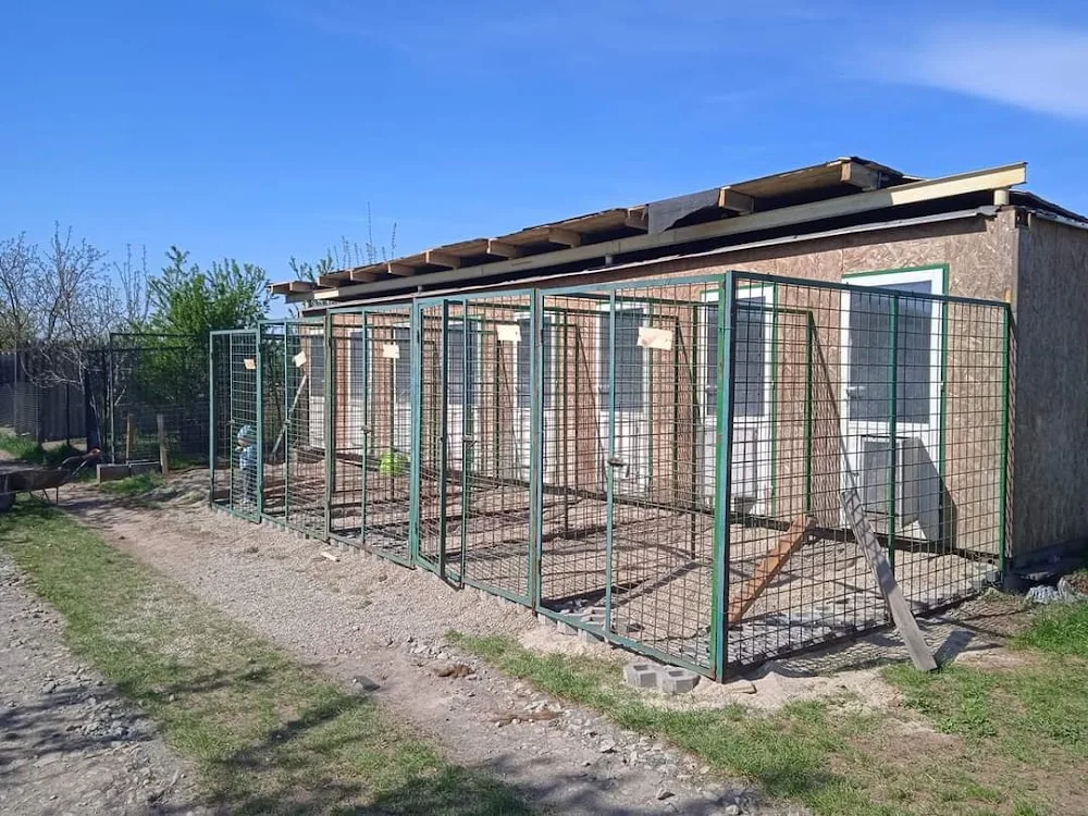 HOTEL PRO PSY MK (THORVIN) - Blansko pet otel görseli 6