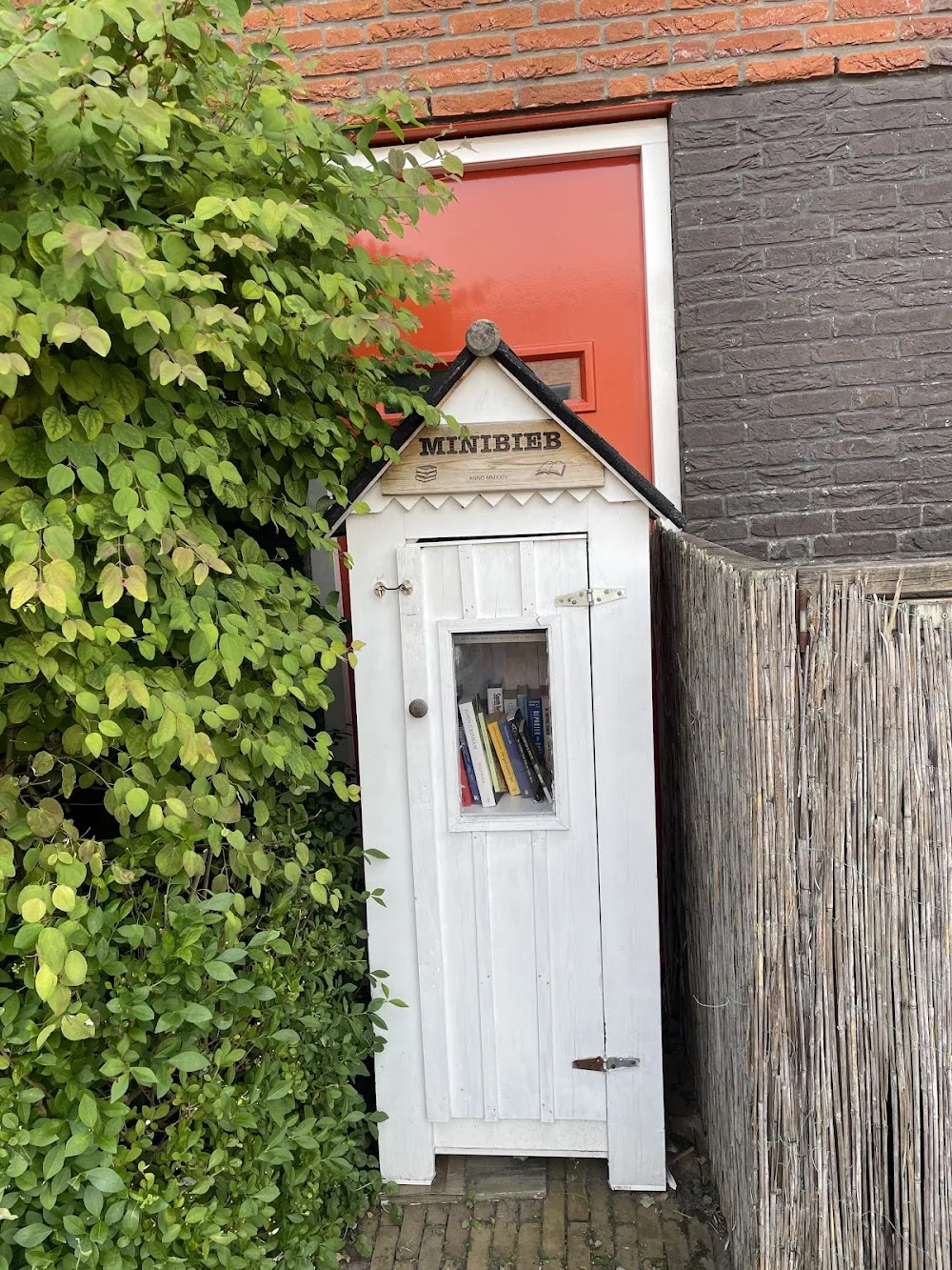 Cat Hotel - Bleiswijk pet otel görseli 3