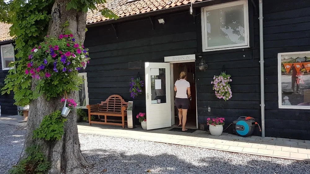 DierDorado - Bleiswijk pet otel görseli 3