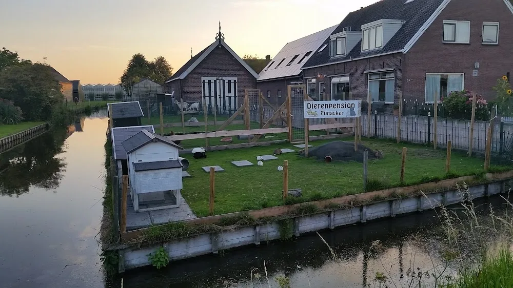 Dierenpension & Hondenschool Pijnacker - Bleiswijk pet otel görseli 3