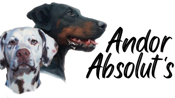 Dobermann & Dalmatier kennel Andor Absolut's - Bleiswijk pet otel