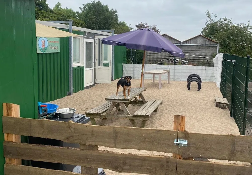 Hondendagopvang Happy - Bleiswijk pet otel