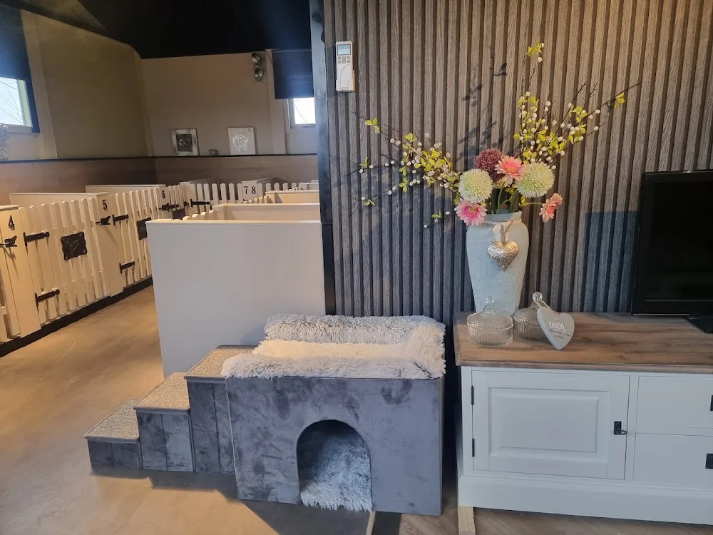 Little Dog Resort Jess - Bleiswijk pet otel